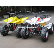 Quad Bike equipado con motor de refrigeración de aire potente 110cc ATV (ET-ATV011)